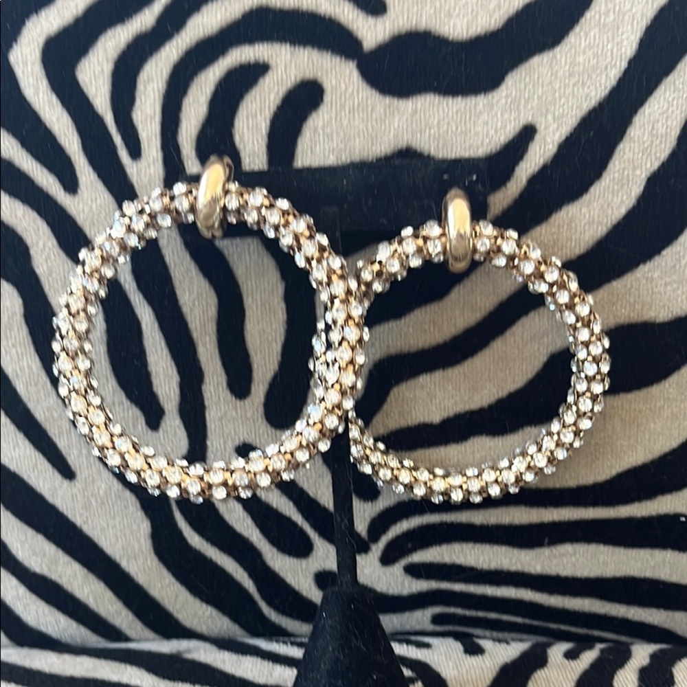 Elegant Gold and Silver Hoop Earrings
